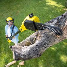 Best Organic Lawn Care Solutions  in Riverton, UT